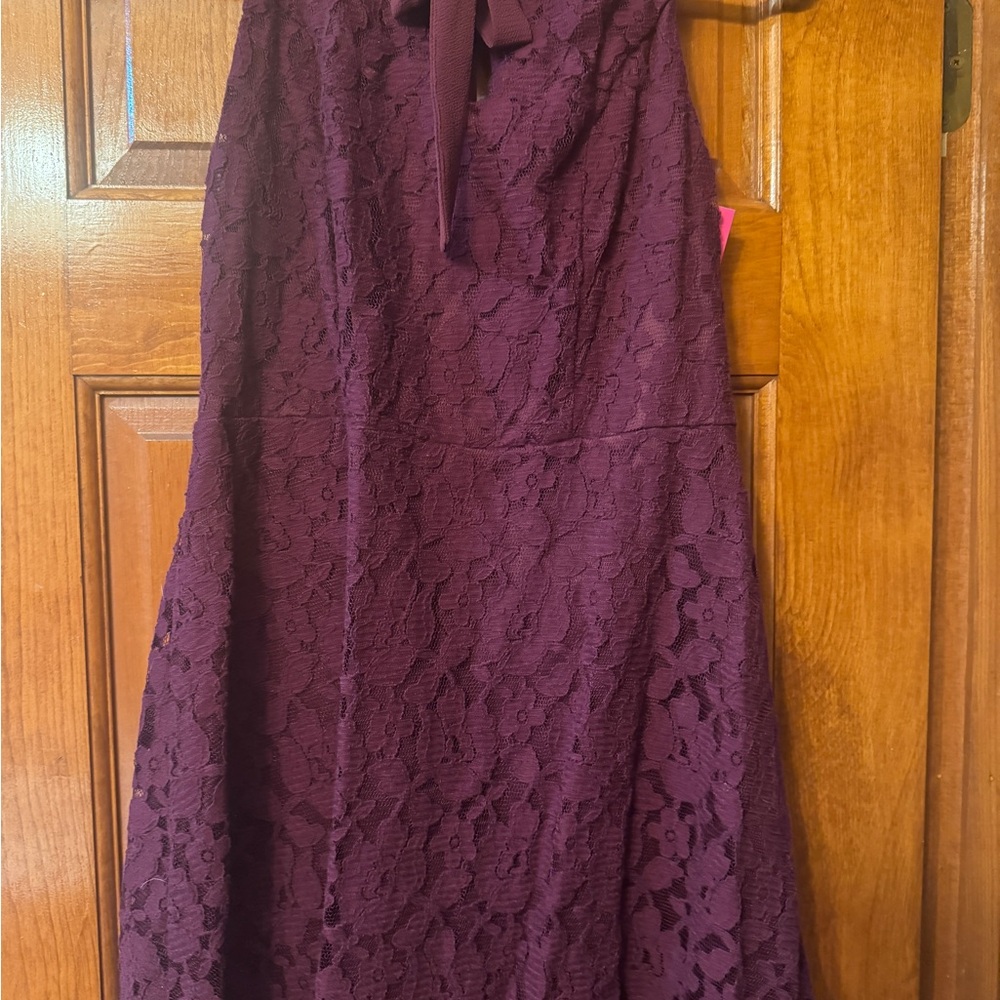 Xhilaration Deep Purple Lace Mini Dress